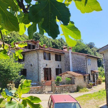 Cara House Tuscany - Zona Lucca Chiatri Εξωτερικό φωτογραφία