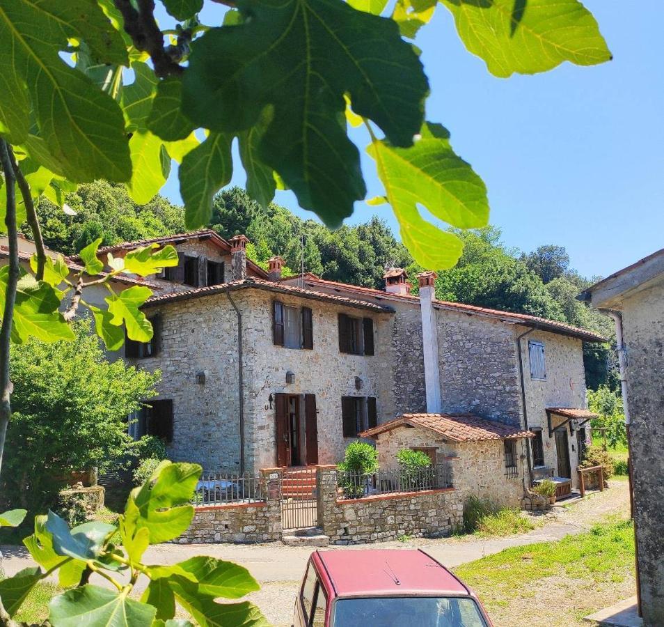 Cara House Tuscany - Zona Lucca Chiatri Εξωτερικό φωτογραφία