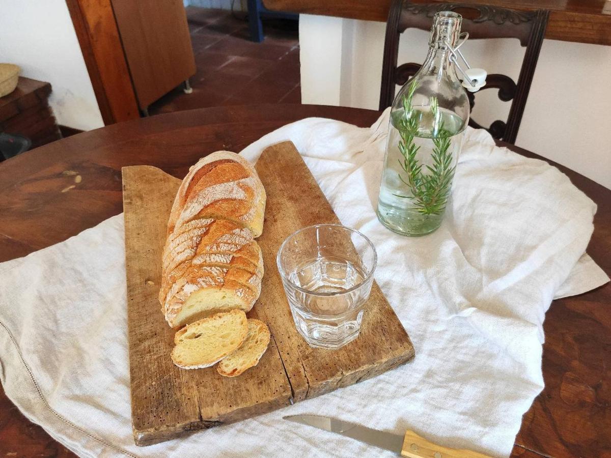 Cara House Tuscany - Zona Lucca Chiatri Εξωτερικό φωτογραφία